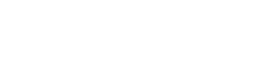 Indexa Geodata